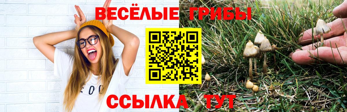 Галлюциногенные грибы MAGIC MUSHROOMS  Вход с VPN  Стрежевой  Псилоцибиновые грибы прущие грибы 